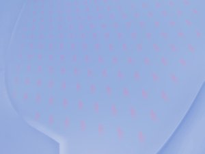 评分卡体系搭建的五个阶段